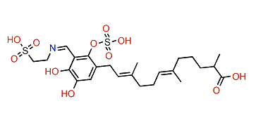 Siphonodictyal E1